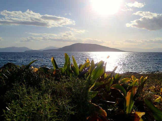 There's plenty of colourful shrubbery and vegetation. You can even pick herbs for dinner. (The island of Angistri can be seen in the background.)